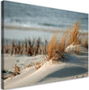 Quadro-su-tela,-Dune-by-the-mare