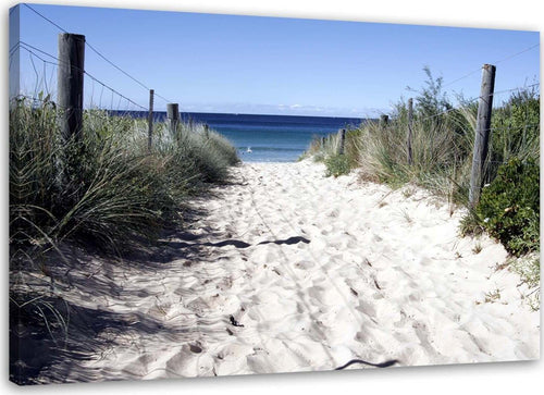 Quadro-su-tela,-Dune-sentiero-spiaggia-mare