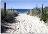 Quadro-su-tela,-Dune-sentiero-spiaggia-mare