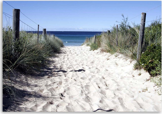 Quadro-su-tela,-Dune-sentiero-spiaggia-mare