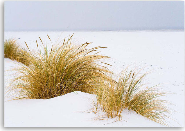 Quadro-su-tela,-Dune-su-sabbia-dorata