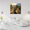 Quadro-su-tela,-Elefante-al-tramonto