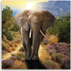 Quadro-su-tela,-Elefante-al-tramonto