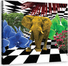 Quadro-su-tela,-Elefante-colorato
