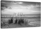 Quadro-su-tela,-Erba-sulla-spiaggia-grigia