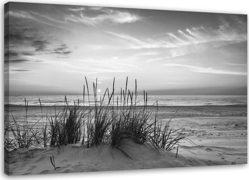 Quadro-su-tela,-Erba-sulla-spiaggia-grigia