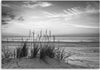 Quadro-su-tela,-Erba-sulla-spiaggia-grigia