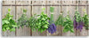 Quadro-su-tela,-Erbe-da-cucina-Spezie