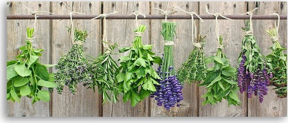 Quadro-su-tela,-Erbe-da-cucina-Spezie
