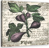 Quadro-su-tela,-Fichi-vintage