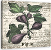 Quadro-su-tela,-Fichi-vintage
