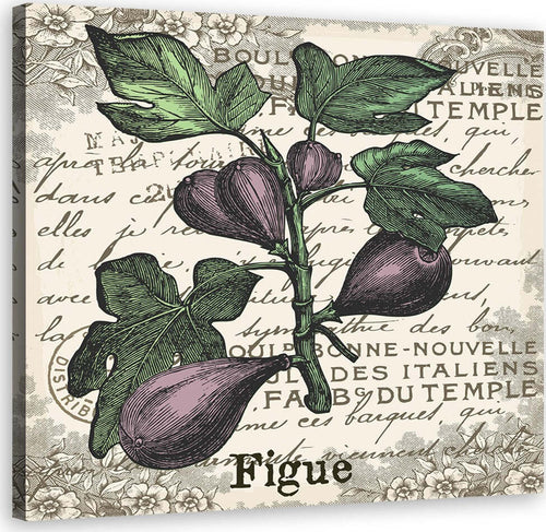 Quadro-su-tela,-Fichi-vintage