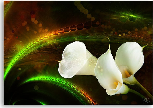 Quadro-su-tela,-Fiore-bianco-sullo-sfondo-marrone