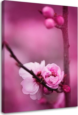 Quadro-su-tela,-Fiore-di-mela-rosa