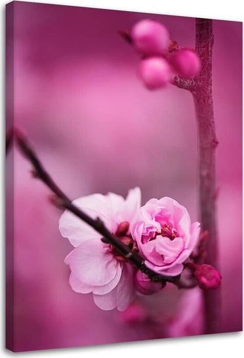 Quadro-su-tela,-Fiore-di-mela-rosa