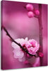 Quadro-su-tela,-Fiore-di-mela-rosa