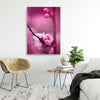 Quadro-su-tela,-Fiore-di-mela-rosa