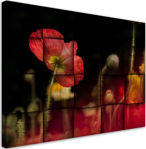 Quadro-su-tela,-Fiore-di-papavero-rosso