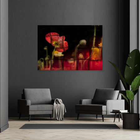 Quadro-su-tela,-Fiore-di-papavero-rosso