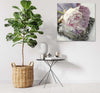 Quadro-su-tela,-Fiore-di-rosa-shabby-chic