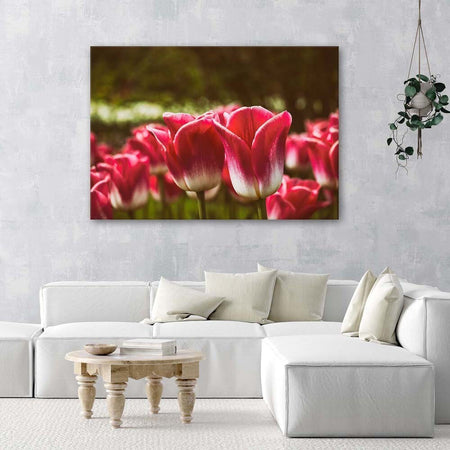 Quadro-su-tela,-Fiore-di-tulipano-rosso