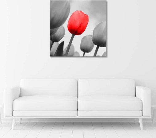 Quadro-su-tela,-Fiore-di-tulipano-rosso