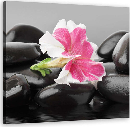 Quadro-su-tela,-Fiore-rosa-su-pietre-zen