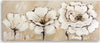 Quadro-su-tela,-Fiori-beige-dipinti