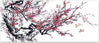 Quadro-su-tela,-Fiori-di-ciliegio-giapponesi