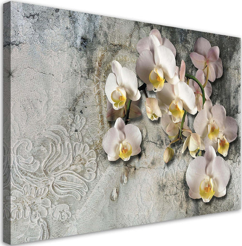 Quadro-su-tela,-Fiori-di-orchidee-soleggiate