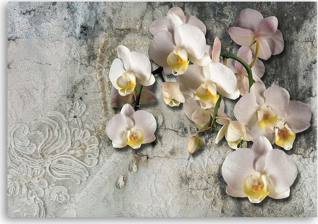 Quadro-su-tela,-Fiori-di-orchidee-soleggiate