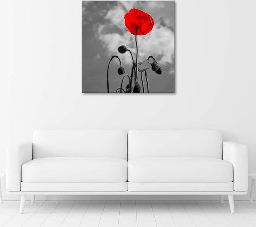 Quadro-su-tela,-Fiori-di-papavero-rosso-Natura