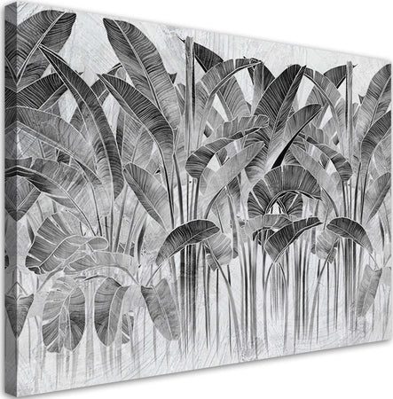 Quadro-su-tela,-Foglie-di-banana-grigia