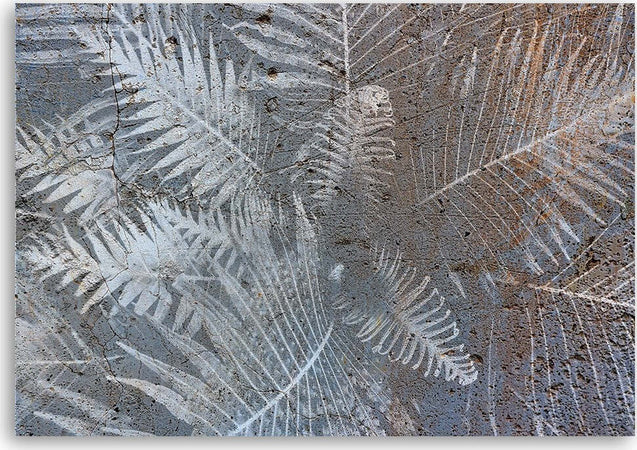 Quadro-su-tela,-Foglie-di-felce