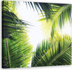Quadro-su-tela,-foglie-di-palma