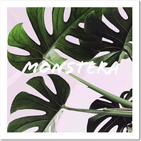 Quadro-su-tela,-Foglie-esotiche-di-Monstera