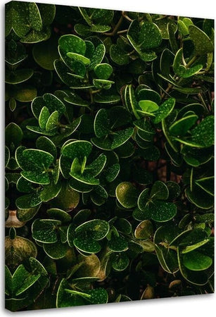 Quadro-su-tela,-Foglie-verdi-esotiche