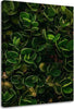 Quadro-su-tela,-Foglie-verdi-esotiche