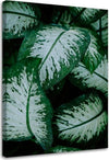 Quadro-su-tela,-Foglie-verdi-pianta-della-natura