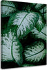 Quadro-su-tela,-Foglie-verdi-pianta-della-natura