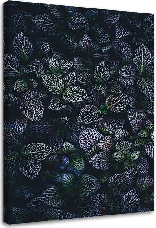 Quadro-su-tela,-Foglie-viola-Natura