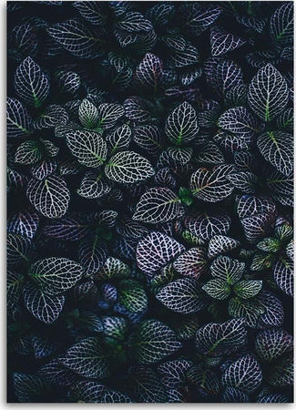 Quadro-su-tela,-Foglie-viola-Natura