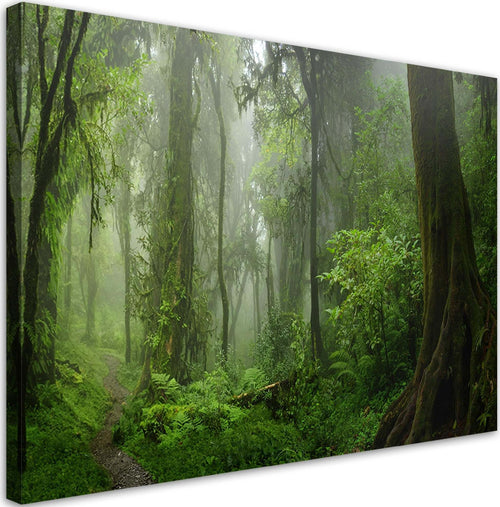 Quadro-su-tela,-Foresta-della-giungla-tropicale