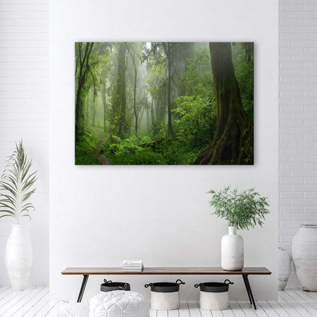 Quadro-su-tela,-Foresta-della-giungla-tropicale