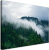 Quadro-su-tela,-Foresta-nella-nebbia