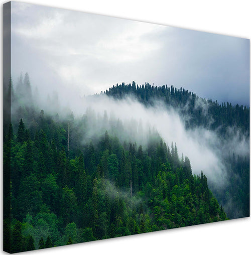 Quadro-su-tela,-Foresta-nella-nebbia