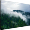 Quadro-su-tela,-Foresta-nella-nebbia