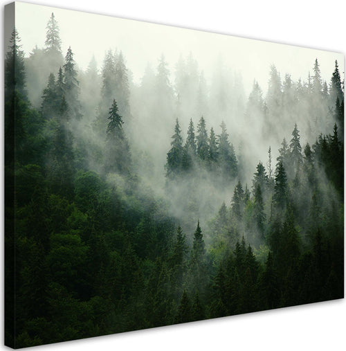 Quadro-su-tela,-Foresta-nella-nebbia