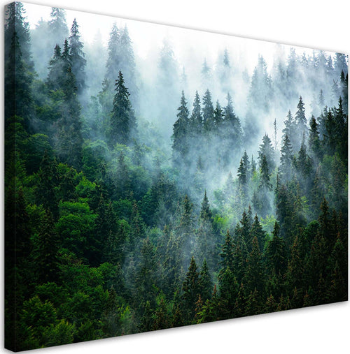 Quadro-su-tela,-Foresta-nella-nebbia