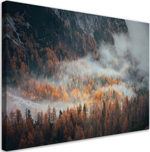 Quadro-su-tela,-Foresta-nella-nebbia